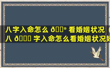 八字入命怎么 💮 看婚姻状况（八 🐘 字入命怎么看婚姻状况好不好）